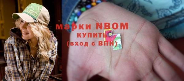 мдпв Абаза