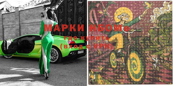 тгк Алзамай