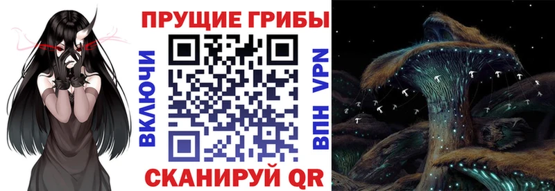 купить   Искитим  Галлюциногенные грибы MAGIC MUSHROOMS 
