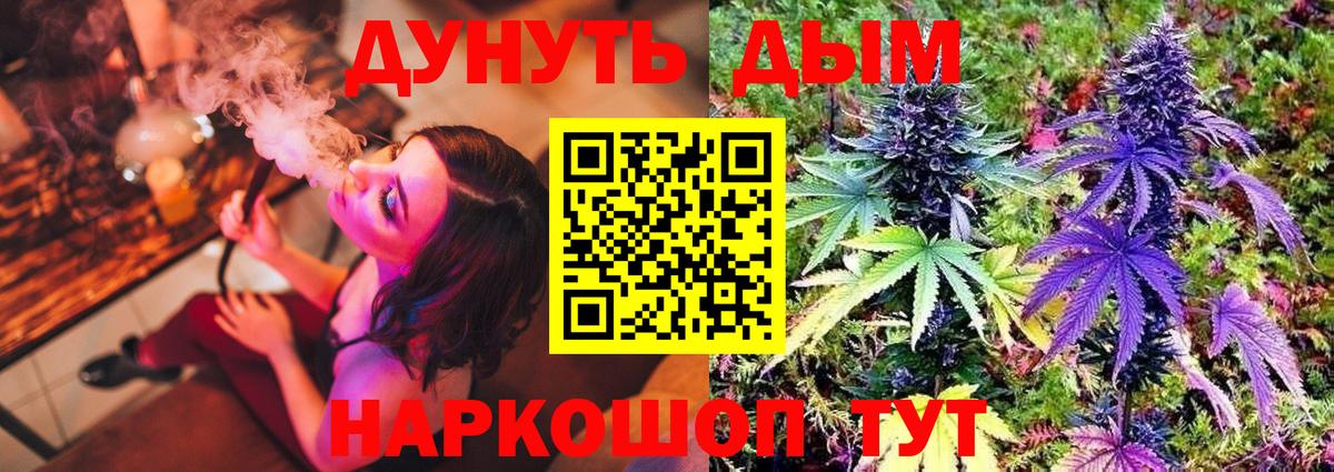 Искитим  Каннабис конопля  Вход с VPN  Марихуана Bruce Banner  Бошки марихуана AK-47 